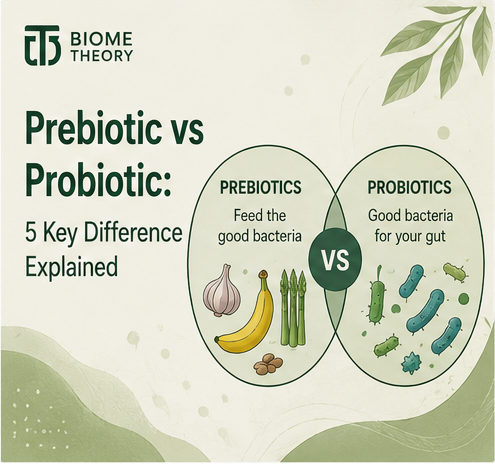 prebiotic vs probiotic