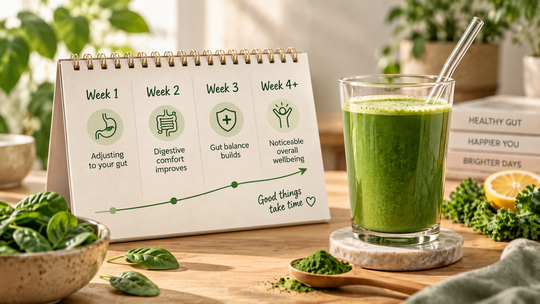 How Long Do Probiotics Take to Work?